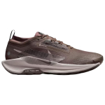 Nike Pegasus Trail 5 Vabaaja Jooksukingad Meeste Pruun FQ0908-012 44 gray