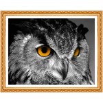 Sophie Beauty pildid teemantide maalimisest numbrite j&auml;rgi Teemant &ouml;&ouml;kull 5d Teemanttikandid Loom 20X30CM