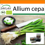 SAFLAX - Aed kotis - Mahe - Salatisibul - Valge Lissabon - 150 seemet - Substraadiga sobivas p&uuml;stises kotis - Allium cepa