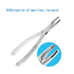 Kvaliteetne roostevabast terasest t&auml;iskasvanute hammaste eemaldamise tangidega hambaarsti kirurgia t&ouml;&ouml;riist 1#