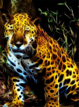 T&auml;iskandiline/&uuml;mmargune puurmosaiik Leopard 5D Teemantmaal Ristpistes Tikand Tiger Art Animal Seinamaaling Seinakleebiste komplekt Full Round 20x25CM