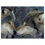 3D-teemanttikandid ristpistes &uuml;mmargune kivimaaling loomahunt Full Round 20x25CM