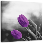 L&otilde;uendiprint Lilled Purple Tulbid 30x30 lilla
