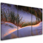 Kolmeosalise pildiga l&otilde;uenditr&uuml;kk Beach Sea Sand 60x40 lilla