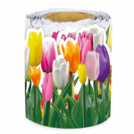 Lilledega b&uuml;llet&auml;&auml;ni &auml;&auml;ris Tulbi lilledega &auml;&auml;ris lihtne peale kanda kooliklassi tahvel tahvli kriiditahvli &auml;&auml;risega dekoratiivne paber Flower