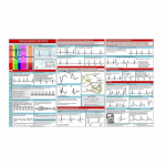 EKG taskujuhend EKG r&uuml;tmi t&otilde;lgendamine Kahepoolne taskuviitekaart Kolmeks volditav &otilde;pperaamat &uuml;li&otilde;pilastele &otilde;dedele 1pc