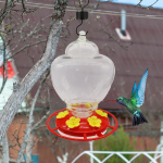 V&auml;lisriputatav koolibri s&ouml;&ouml;tur Eemaldatav lekkekindel linnus&ouml;&ouml;tur Toidun&otilde;u Aia &otilde;ue jaoks hummingbird feeder puhas