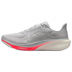 Nike Pegasus 42 Jooksukingad Meeste Hall IB1873-004 42