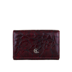Naiste portfell Canaletto - Lakknahk, RFID-kaitse, Elegantsus ja vastupidavus PD1221cs78 RFID