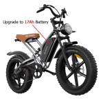 JANSNO X50 T&auml;iskasvanute Elektrijalgratas 750/250W 48V17AH Eemaldatav aku Paksud Rehvid 20 Maastikuratas 25MPH Elektrijalgratas