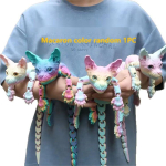 Kodu Kaunistus 50cm 3D Prinditud Sfinks Kassi Loom M&auml;nguasi Realistlik Karvutu Nukk Liigendiga Kass Pl&uuml;&uuml;sist M&auml;nguasi Kassi Huviline Kogu gray