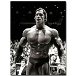 Arnold Schwarzenegger Kulturism Fitness Plakat 200x180 must