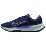 Nike Juniper Trail 2 GORE-TEX Mugavad Mitmek&uuml;lgsed Maastikujooksukingad Naiste toss Sinine HM9725-400 37.5