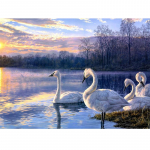 Teemantmaali ristpistekomplektid Teemanttikandid Mosaiik Luigemuster Pilt Kodukaunistuse kingitus 20X30CM