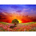 Teemantmaaling t&auml;ispuur Squar 5d Teemant t&auml;isring Teemantmaal p&auml;ikeseloojangu preeria 20X30CM