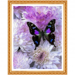 Roosikristalli &uuml;mmargused teemantkomplektid kodu dekoratiivsed teemantlilled liblikas 5d isetehtud teemantmaal 20X30CM