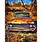 5D DIY Cat Teemanttikandid Maastik Lillede Teemantmaal T&auml;isruudukujuline/&uuml;mmargune mosaiikpilt kivist kodukaunistuse kingitus Full Round 20X30CM punane