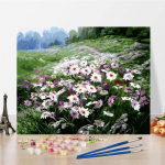 Numbrid &Otilde;limaal L&otilde;uend Kunst Digitaalne &Otilde;limaal DIY Maali numbrite j&auml;rgi Kodukaunistus 40x50cm no frame