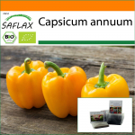SAFLAX - Aed kotis - Mahe - Paprika - Golden California Wonder - 20 seemet - Substraadiga sobivas p&uuml;stises kotis - Capsicum annuum