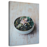 Feeby l&otilde;uenditr&uuml;kk, Taimed potis 40x60 beež