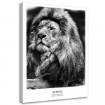 L&otilde;uenditr&uuml;kk Africa Lion Animals 40x60 valge/must