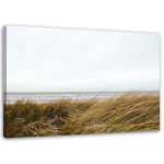 L&otilde;uenditr&uuml;kk Beach Grass Nature Dune 60x40 beež