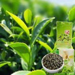 HelloYoung milk Oolong Tea Taiwan Alpine Alishan Milk Oolong Loose Tea Leaves Kingshuan/ Kinghsuan/ KingXuan/ JinXuan Taiwan Oolong Tugev aroom