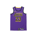 Nike NBA Los Angeles Lakers LeBron James City Fan Edition S&auml;rk Lilla Meeste Streetwear AJ4618-510 M purple