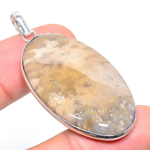 Natural Fossil Coral Gemstone Handmade 925 Sterling Silver Pendant 2.09 e1s92