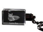 Russian Blue - Crystal pendant with cat photo, illuminated pendant, unique gift by Art-Dog brand