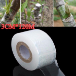 Isekleepuv viljapuude pookimine lint Taimed T&ouml;&ouml;riistad Lasteaed Venitav aed K&ouml;&ouml;giviljade pookimine