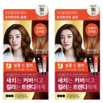 Elastine Salon de Color & Gray Hair Dye, Orange Brown, 2 pcs. black
