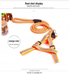 Peegeldavad punutud koerarakmed ja jalutusrihma komplekt 1.0 x 120 cm roheline