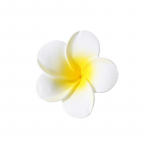 Plumeria lillelised juukseklambrid naistele t&uuml;drukutele juuksen&otilde;elad munalillede magusad k&uuml;ljejuukseklambrid Barrettes Hawaii peo juukseaksessuaarid S-5.5cm