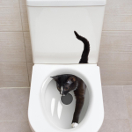 Creative Realistic Cute Cat Vision 3D WC kleebis L&otilde;bus Loomade Vannitoa WC kaane Decor Isekleepuv PVC Veekindel maal