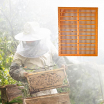 Beehive Propolis Collector Beekeeper Tool Easy to Use Compact Beekeeping Frame 10 frames