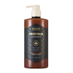 [KERASYS] Propolise kahjustatud juuste parandav &scaron;ampoon 1L / Palsam 1L Treatment 1L X 1PCS