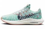 Nike Pegasus Turbo Next Nature 'Ice Jade Red' Naiste DM3414-300 38