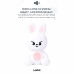 Eeltellimus Stray Kids RUN IT SEOUL SKZOO Palus Tantsiv versioon. Leebit gray