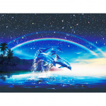Teemantmaaling multifilm, loom delfiin ja vikerkaare ristpistes teemantmosaiik k&auml;sit&ouml;&ouml; teemanttikandid 20X30CM