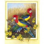 Teemantv&auml;rvimiskomplekt Lilled ja linnud Teemanttikandid Loomapildid kividest Stitch Cross Mosaiic Sale K&auml;sit&ouml;&ouml;komplekt Kodusisustus Full Round (20X30CM)