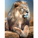 T&auml;is&uuml;mmargune/ruudukujuline 5D isetehtud teemantmaaling, metsaline l&otilde;vi Teemanttikandid Ristpistekomplektid Kodukaunistus K&auml;sitsi valmistatud kingitused Round 20x30cm