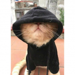 5D isetehtud teemantmaal Rebane ruut/&uuml;mmargune teemanttikandid Loomade ristpiste komplekt Rhinestone mosaiik Kodukaunistus Full Round 20X30CM punane