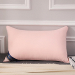 100% puuvillane Hilton Solid Color Home Pillow Manufacturers Direct Pillow 5star Hotel Pillow Core vaakumkompressioon pakend 48*74cm High pillow850g