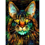 Teemantmaaling Kassiruut 5D Teemanttikandid V&auml;rvilised Loomad Kassi Mosaiik Ristpistes Pildi kivid Kodukaunistus Full Round 20x30CM