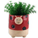 Les Tr&eacute;sors De Lily [A2496] - Oranž keraamiline poti kate  Ladybug  - 12x11 cm punane