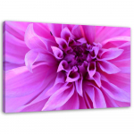 L&otilde;uenditr&uuml;kk Pink Flowers Plants Nature 60x40 roosa