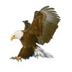 J510# Fierce Eagle k&auml;sitsi maalitud kleebis auto vin&uuml;&uuml;lkleebise veekindlal kaunistusauto kleebistel A-15cm-Longest Side