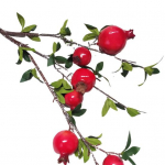 1 tk Kunstlik granaat&otilde;una lill Ergas selge tekstuur Kukkumisvastane v&auml;rviline ilmastikukindel kunstlille Kodukaunistus punane