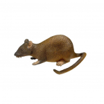 Naljakad kassim&auml;nguasjad, pehmed kummist hiired, kassid, isehei tarvikud, hammustuskindlad ja igavlevad esemed, &uuml;leannetute ja ulakate kasside m&auml;nguasjad